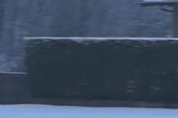 Un avvistamento imprevisto