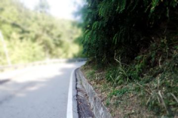 ELOGIO AGLI OPERAI