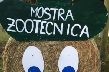 Rassegna bovini