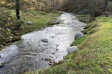 Dopo la pulizia delle rive