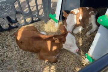 Un grande evento in un territorio a vocazione agricola, che ha fornito spunti, suggerimenti e nuove tecniche innovative. Grande entusiasmo per la visita delle due aziende agricole e piacere per il momento conviviale.